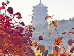 -永定河休闲森林公园