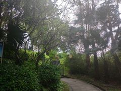 -清湖文化公园