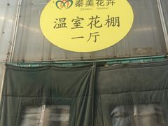 -秦美花卉(天朗·莱茵小城2期店)