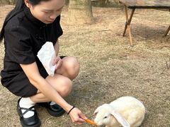 -灵玲国际马戏城