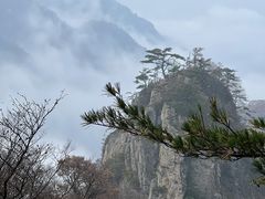 -洛阳国际大酒店