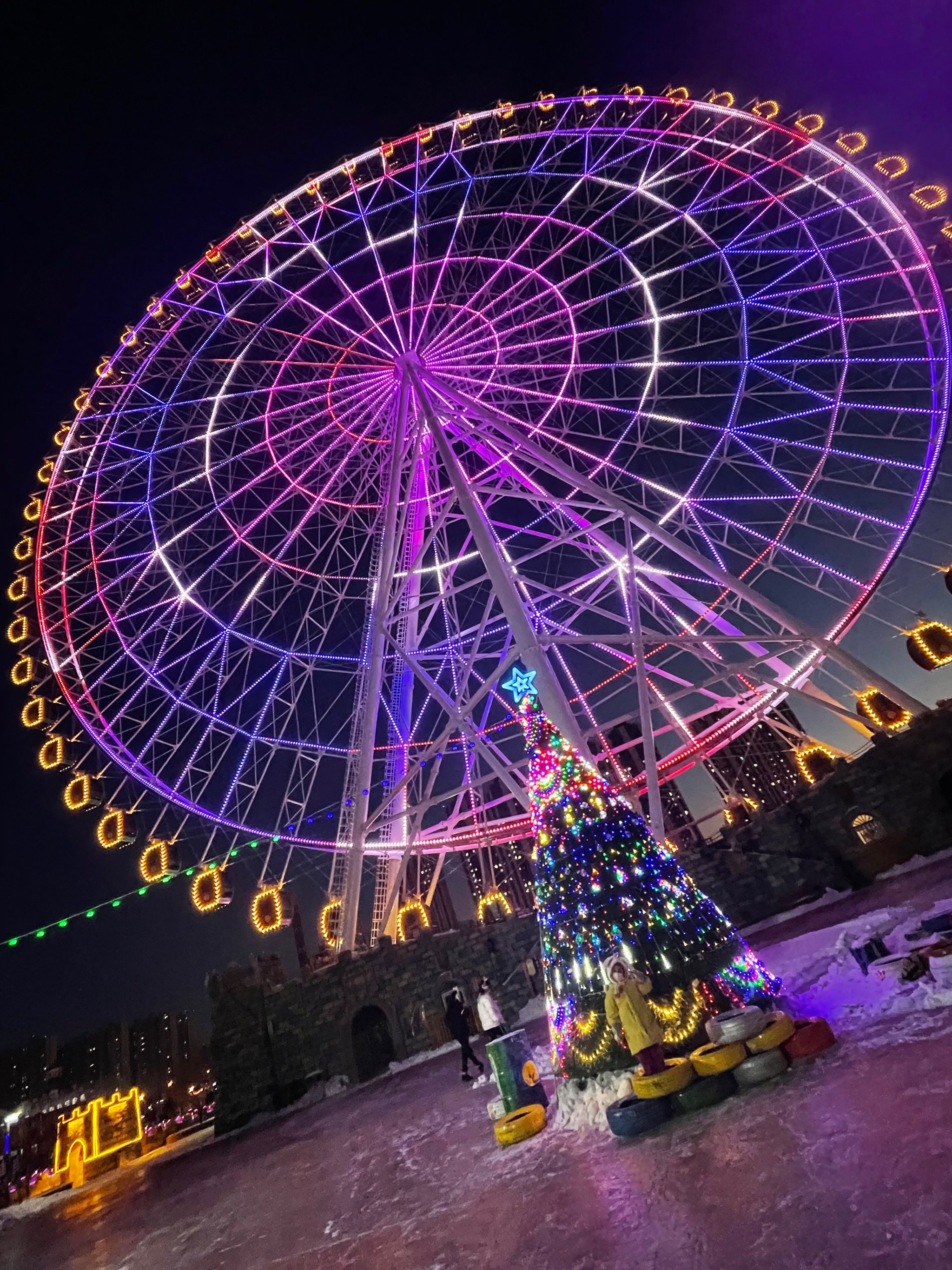 鹤城公园夜景图片