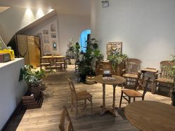 -WAVE SODA摄影工作室