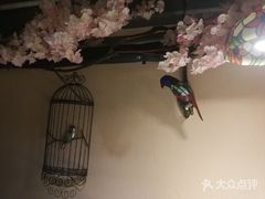 -味之绝美蛙鱼头火锅(高新店)