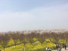 -古柏渡飞黄旅游区