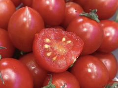 海南千禧果-水果天空(东葛店)