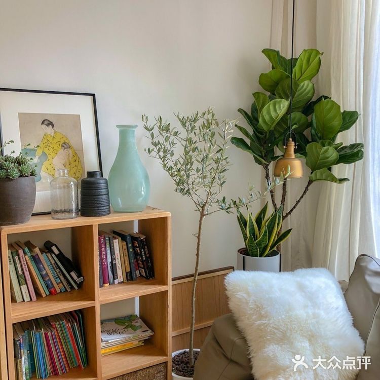 #客厅 #绿植 #书房 #书桌 #书架客厅硬装
