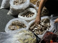 -东天目山风景区