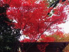 -北山街历史文化街区