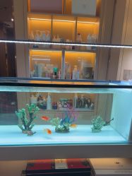 -香港倾城国际·美容美体中心