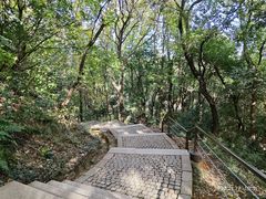 -苏州上方山国家森林公园