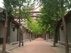 -大明幻境第一城