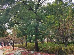 -上海滨江森林公园
