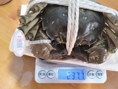 -阳澄湖大闸蟹·琼灵阁牌品牌连锁(吴中总店)