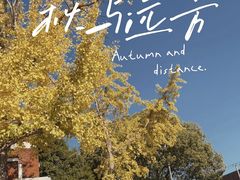 -华东政法大学(松江校区)