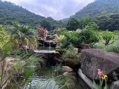 -广州市石门国家森林公园