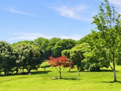 -宜兴龙背山森林公园