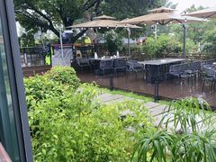 -蘇河湾·新鲁菜·泰山宴(泰山店)