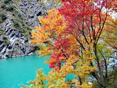 -叠溪松坪沟景区