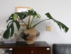 -爱空间美睫健康美甲