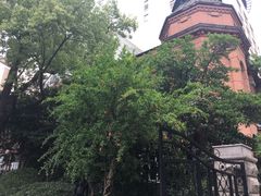 -复旦大学附属华山医院(总院)