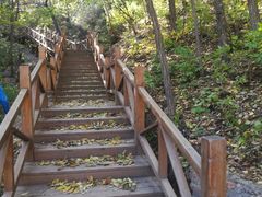 -大岭沟猕猴桃谷风景区