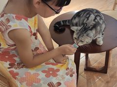 -猫友咖啡店(玉林西路店)
