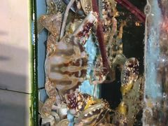 -原龙海鲜大排档(美食地标店)