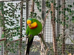 -南宫五洲植物乐园