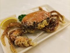 -元气寿司(金光华店)