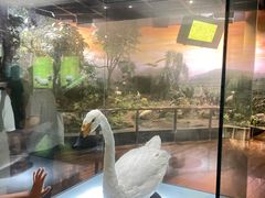 -陕西自然博物馆