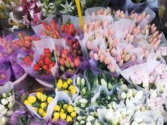 -循礼门鲜花花市(武汉循礼门店)