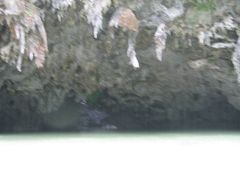 -三门海