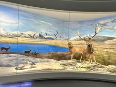 -北京麋鹿生态实验中心