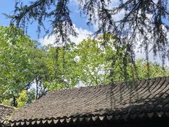 -秋霞圃