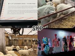 -Catail前苑(前门大街店)