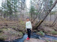 -五营红松林海景区