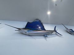-深海中餐厅(国家海洋博物馆店)