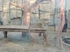 -石家庄市动物园