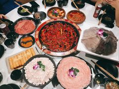 无糖王老吉-骉骉老火锅(铁像寺路店)