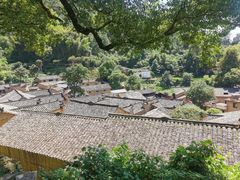-杨家堂村