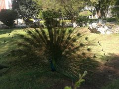 -西昌邛海宾馆