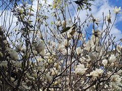 -昆明市金殿名胜区