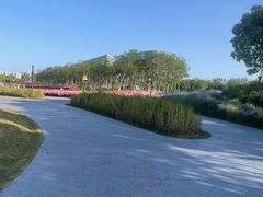 -春花秋色城市公园