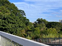 -华侨城湿地公园