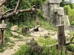 -宁波野生动物园