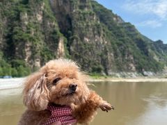 -十渡东湖港风景区