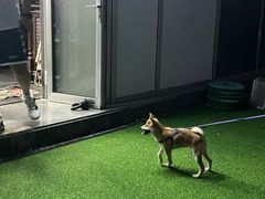 -CrossFit MET综合体能训练馆(朝阳路店)