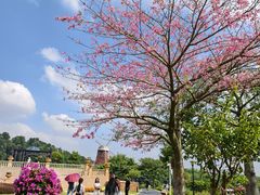 -东莞植物园