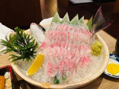 鲷鱼活造-小山日本料理(太古汇店)